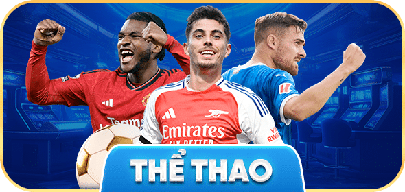 icon the thao 2