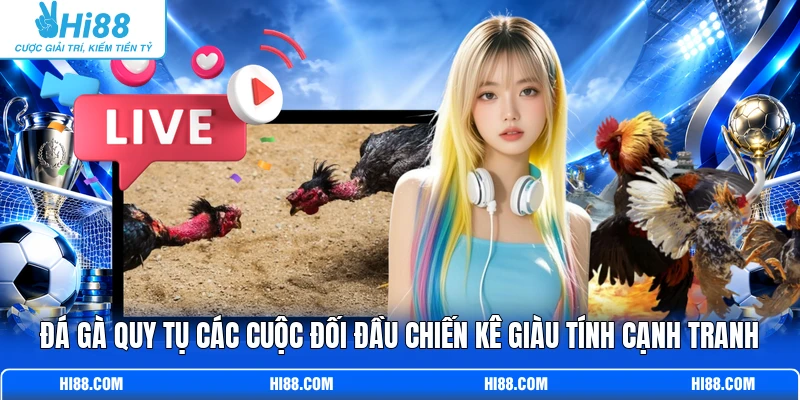 Đá gà quy tụ các cuộc đối đầu chiến kê giàu tính cạnh tranh 